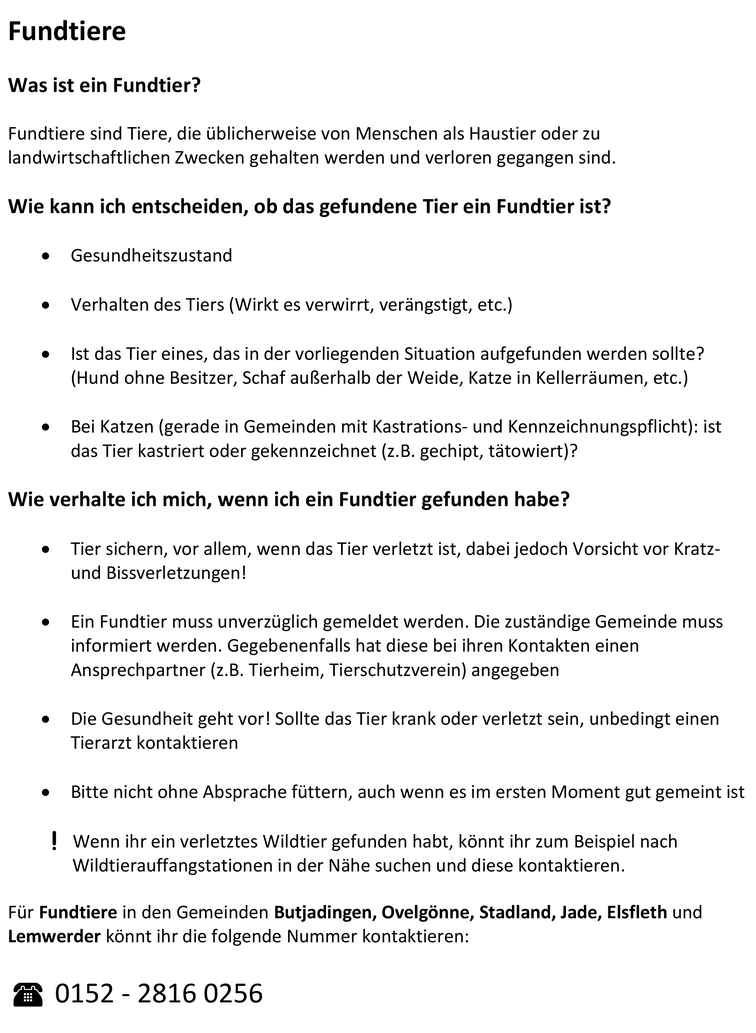 Entlaufener Kater aus Bremen ist zurück – nach anderthalb Jahren